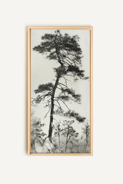 PIN SOLITAIRE, Oeuvre sur toile étirée, encadré Naturel Clair