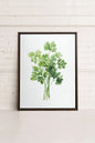 CILANTRO, Work on stretched canvas
