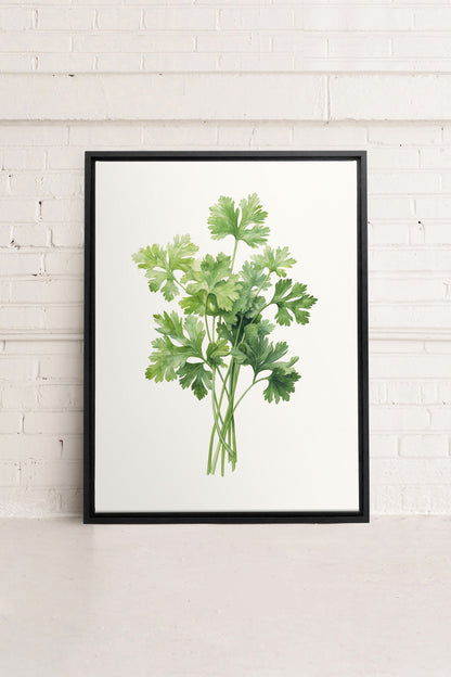 CILANTRO, Work on stretched canvas