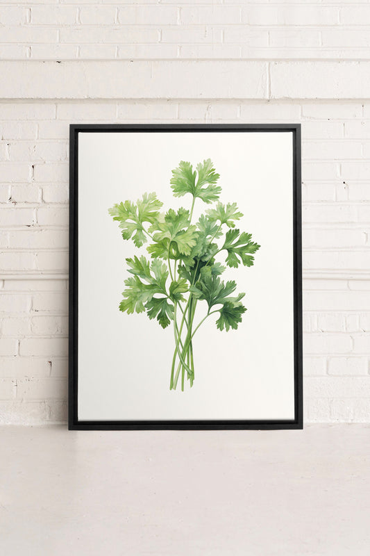 CILANTRO, Work on stretched canvas