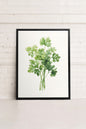 CILANTRO, Work on stretched canvas