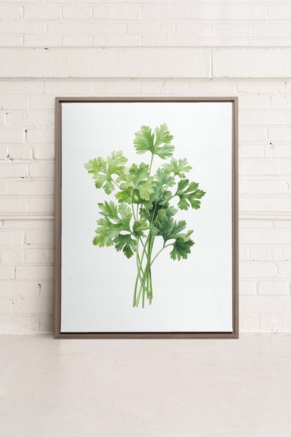 CILANTRO, Work on stretched canvas