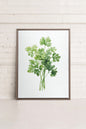 CILANTRO, Work on stretched canvas