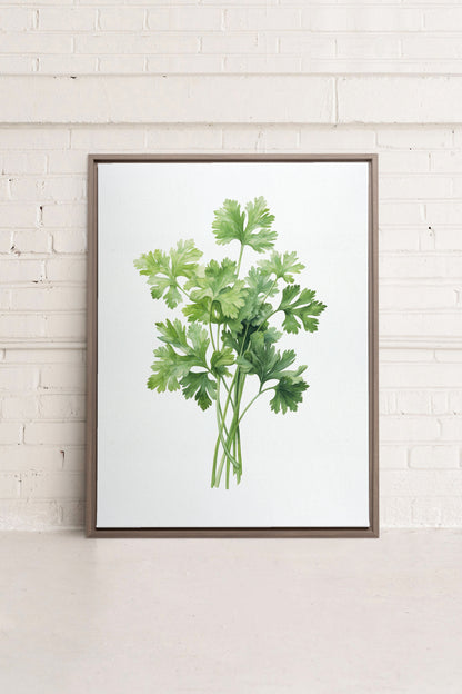 OLEKA CANVAS - CILANTRO, Oeuvre sur toile étirée, encadré Brun Chêne