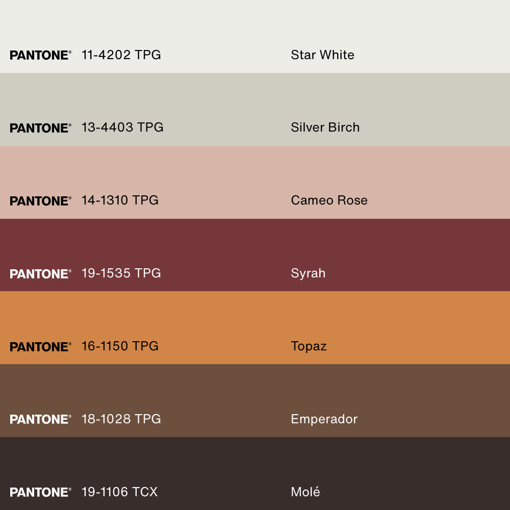 ÉLAN CRÉATIF, Oeuvre sur toile étirée, encadré Noir