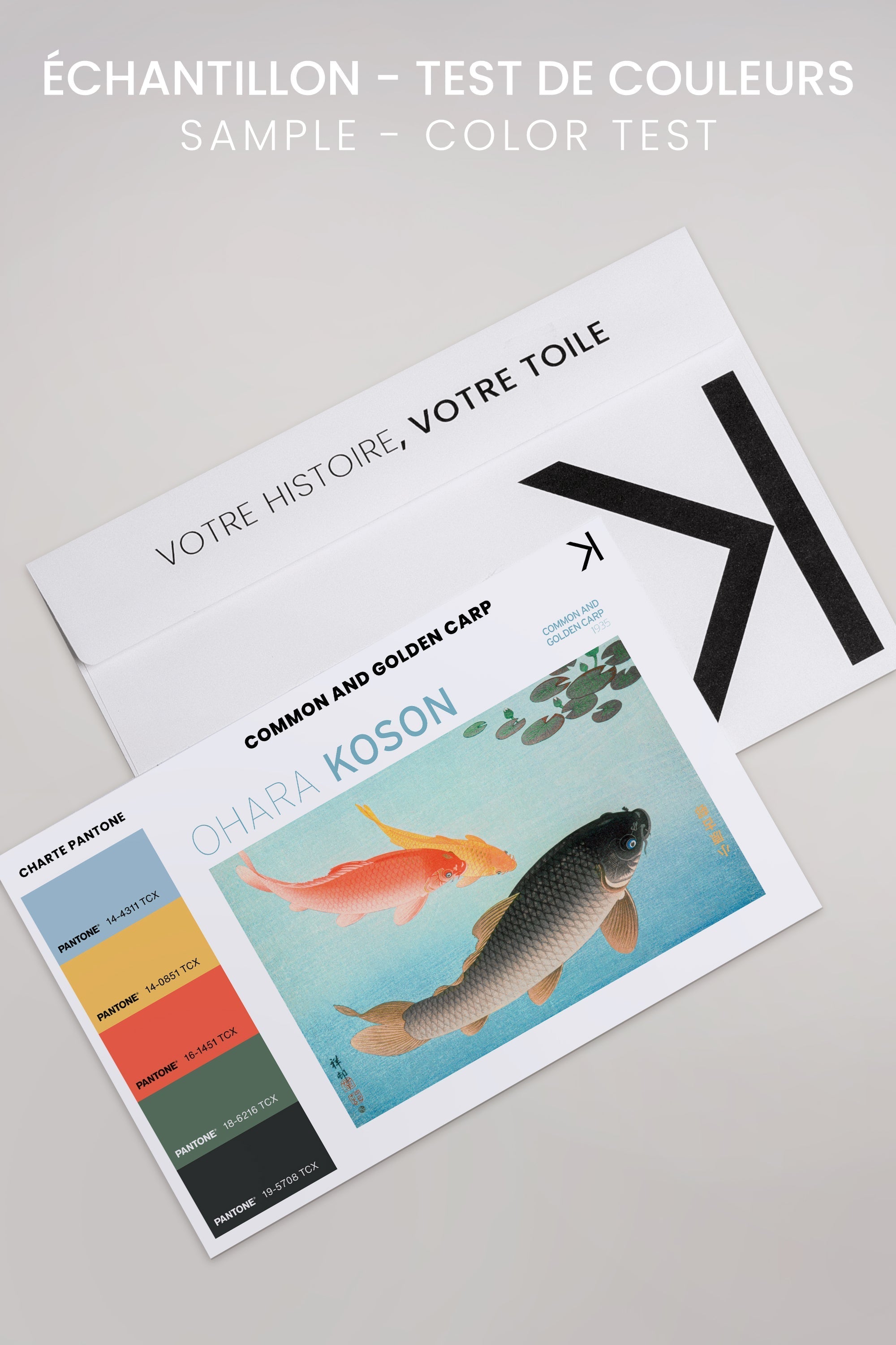 OLEKA CANVAS - COMMON &amp; GOLDEN CARP, Oeuvre sur toile étirée, encadré Naturel Clair