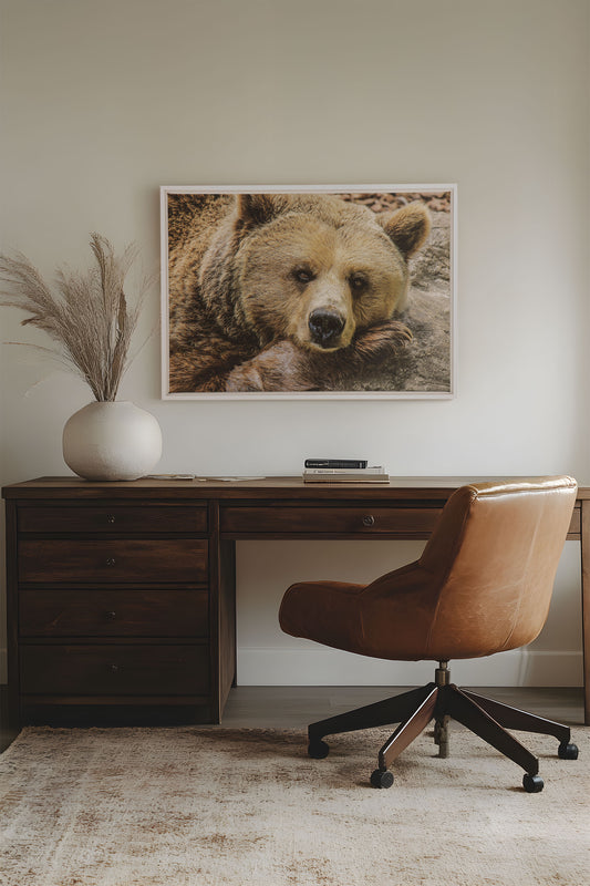 SOFT BEAST, Oeuvre sur toile étirée