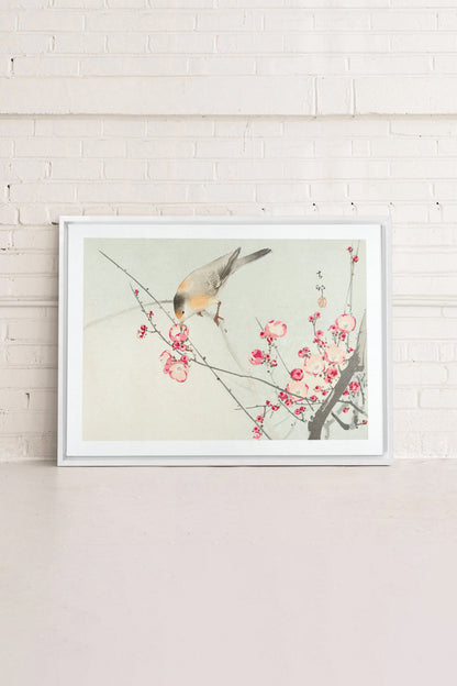 OLEKA CANVAS - SONGBIRD, Oeuvre sur toile étirée, encadré Blanc