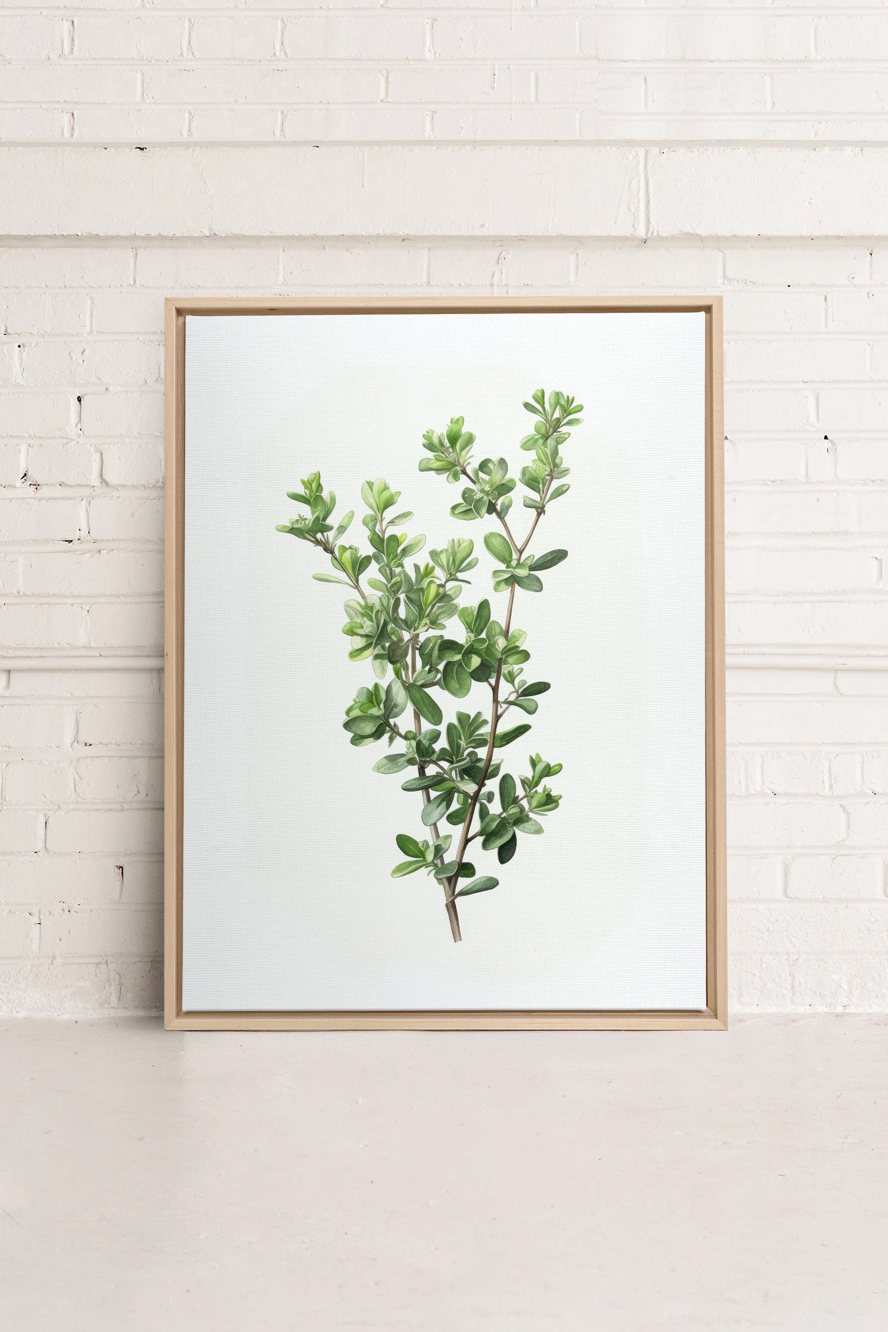 THYMARIS, Oeuvre sur toile étirée, encadré Naturel Clair