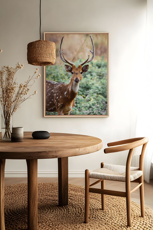 LUEUR DES BOIS, Oeuvre sur toile étiré