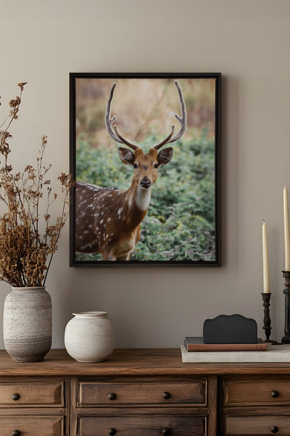 LUEUR DES BOIS, Oeuvre sur toile étiré