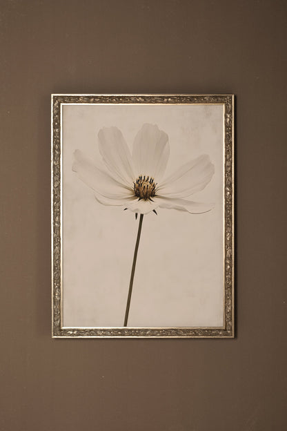 IVORY PETAL, VINTAGE SILVER FRAME