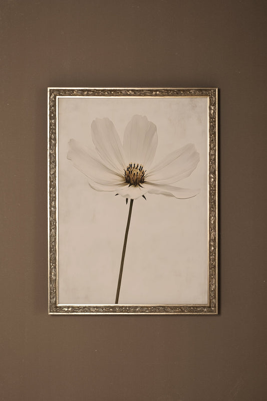 IVORY PETAL, VINTAGE SILVER FRAME