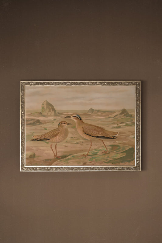 OISEAUX DE SABLE, CADRE VINTAGE ARGENT