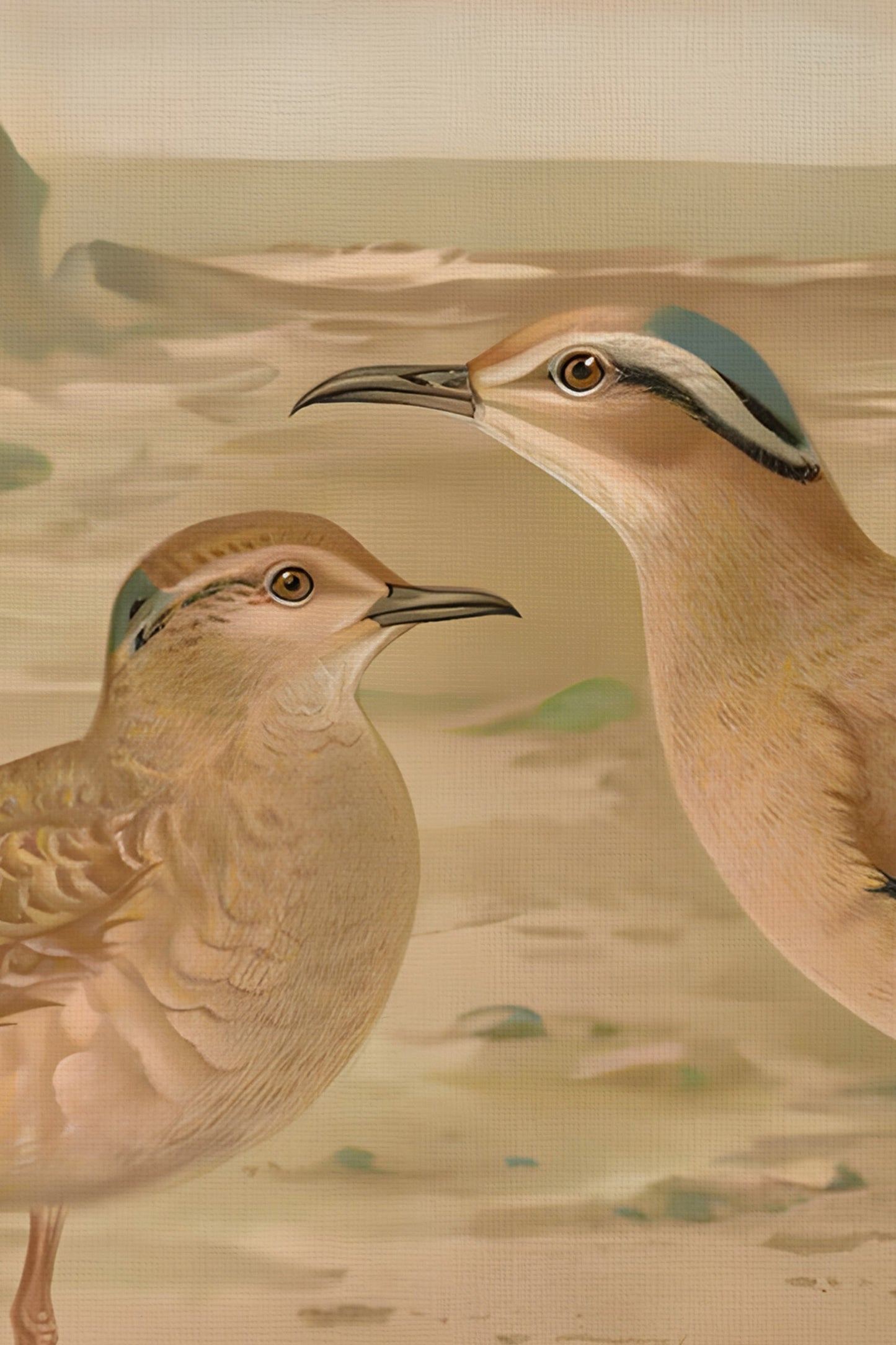 SAND BIRDS, VINTAGE SILVER FRAME