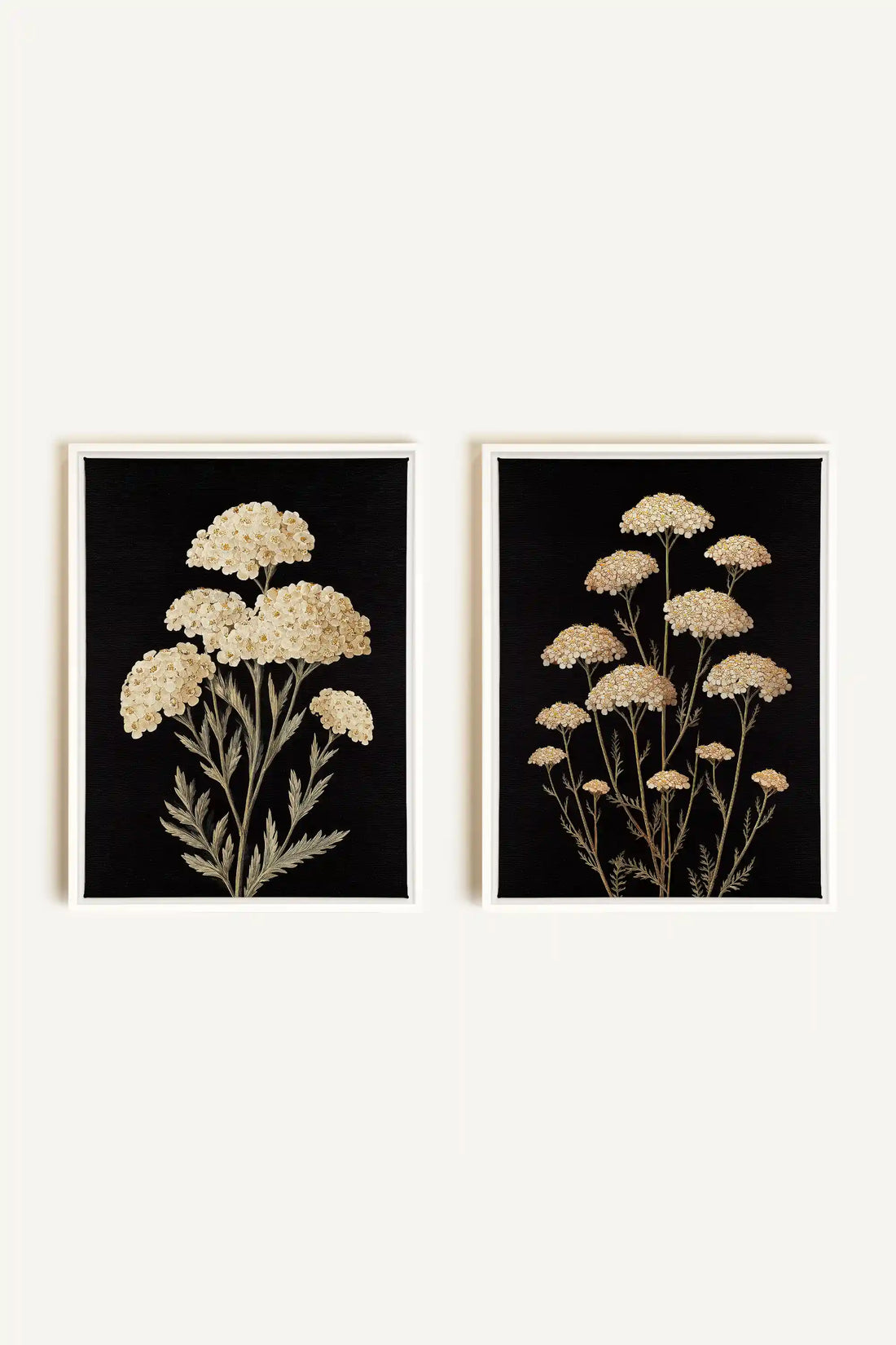 DUO SATINS DES CHAMPS, 2 Oeuvres sur toile étirée, encadré Blanc