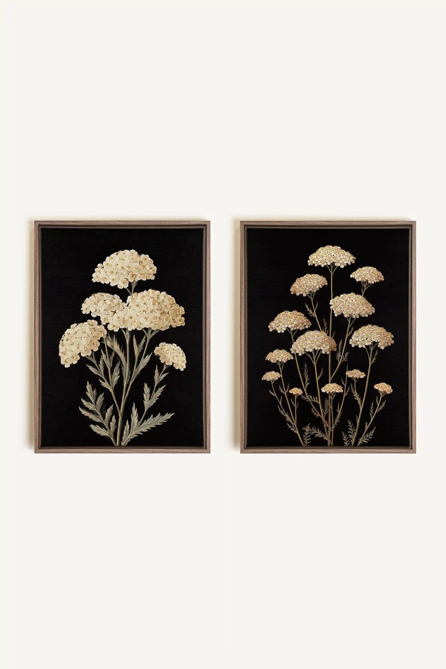 DUO SATINS DES CHAMPS, 2 Oeuvres sur toile étirée, encadré Brun Chêne