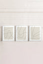 ELEGANT CURVES TRIO (3 works on stretched canvas)