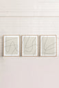 ELEGANT CURVES TRIO (3 works on stretched canvas)