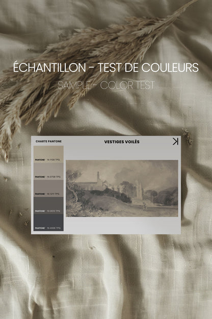 VESTIGES VOILÉS, Oeuvre sur toile étirée, encadré Noir