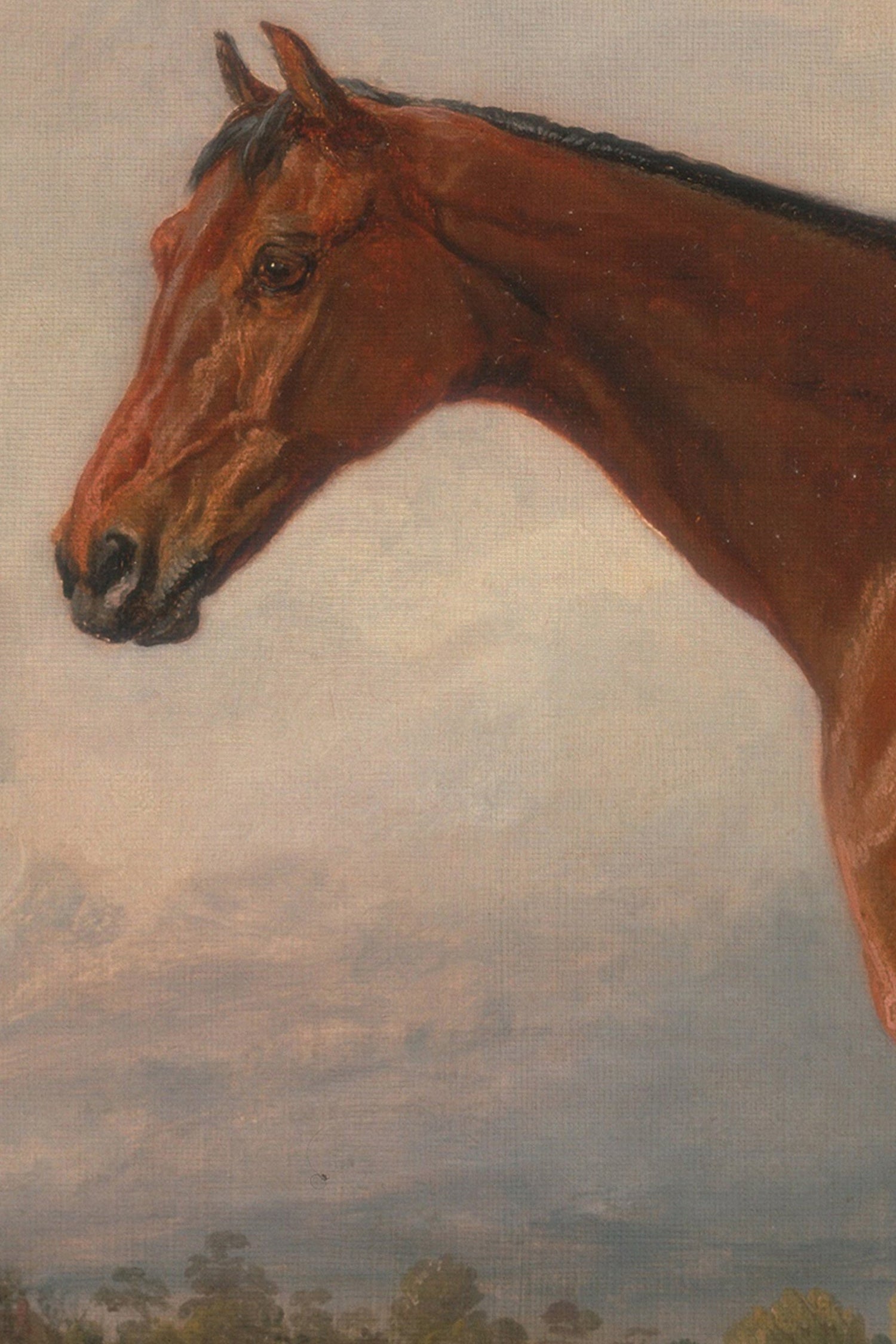 MAJESTÉ ÉQUESTRE, Artwork on stretched canvas, framed Vintage Bronze