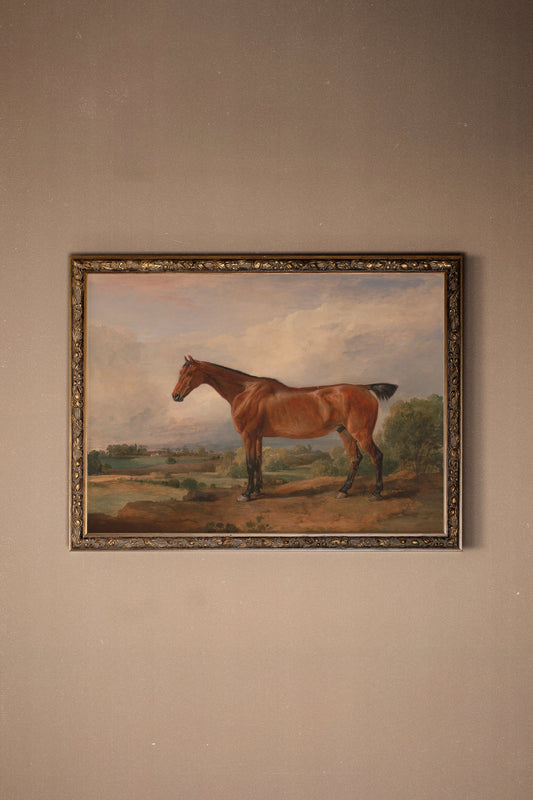 EQUESTRIAN MAJESTY, VINTAGE BRONZE FRAME
