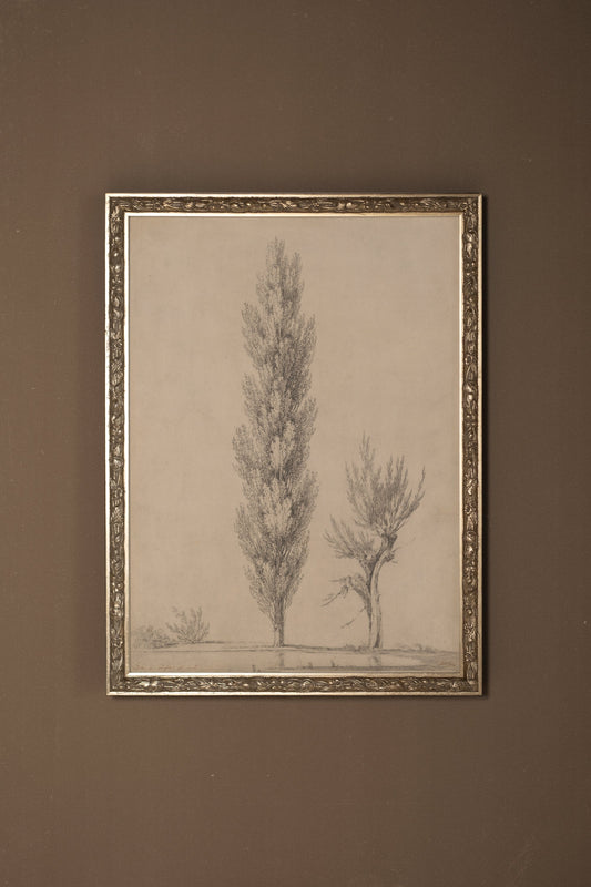 POPLAR BREATH, VINTAGE SILVER FRAME