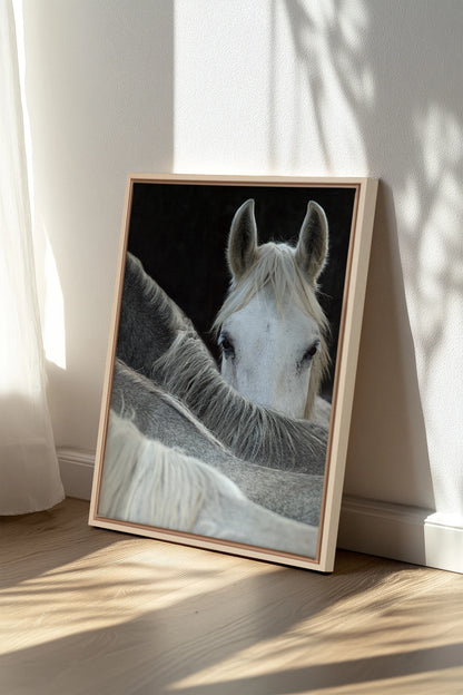 Regard Sauvage, Oeuvre sur toile étirée