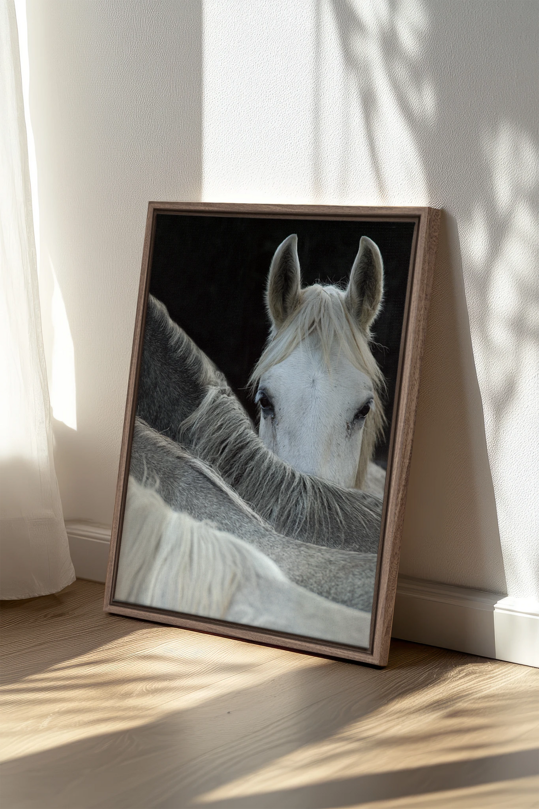 Regard Sauvage, Oeuvre sur toile étirée