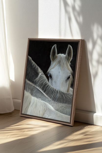 Regard Sauvage, Oeuvre sur toile étirée