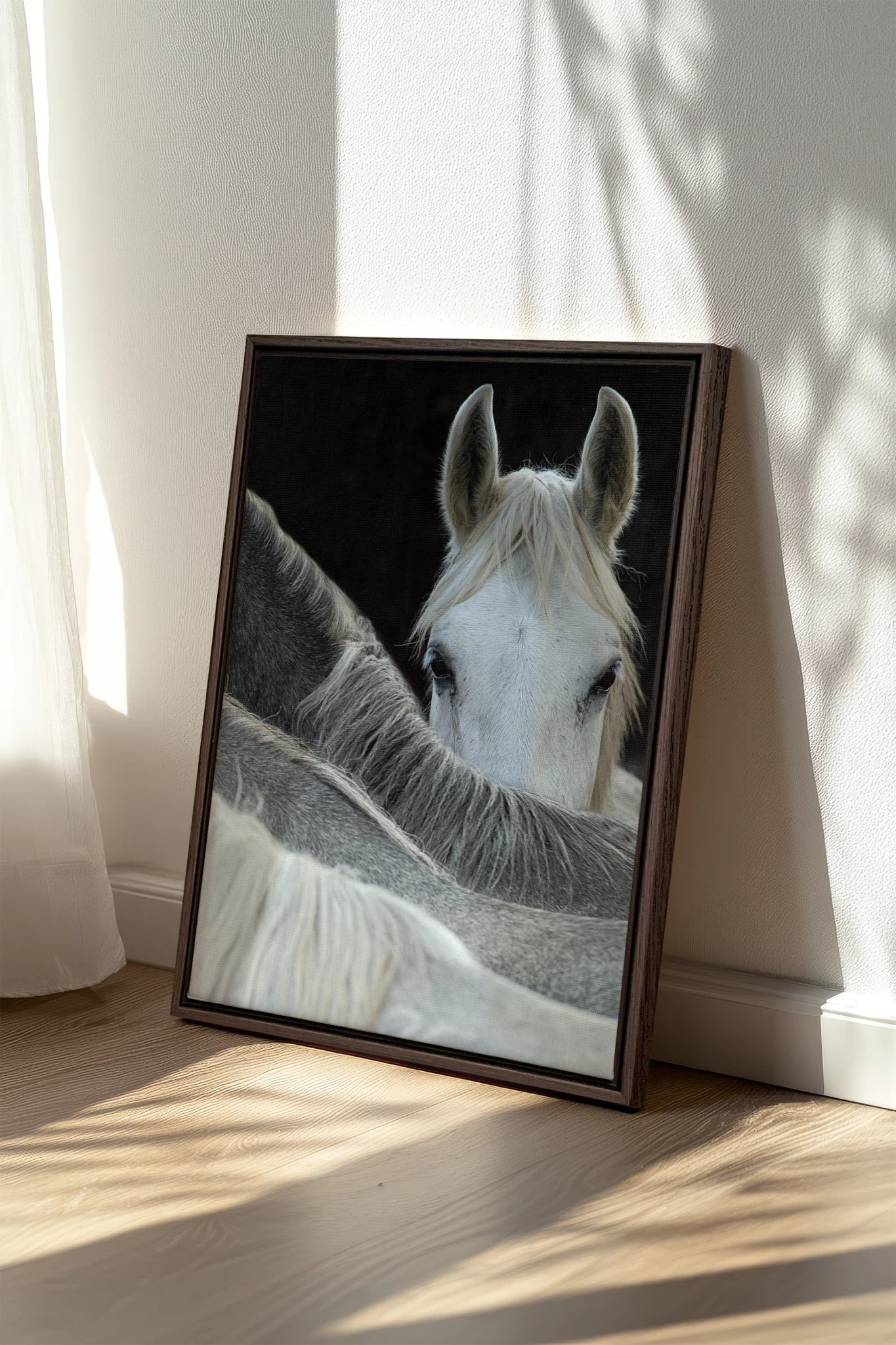 Regard Sauvage, Oeuvre sur toile étirée
