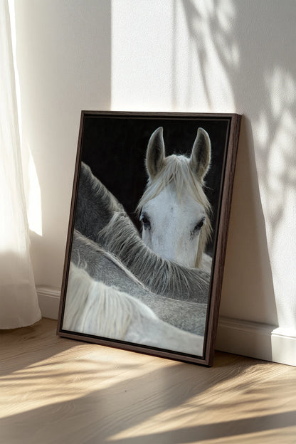 Regard Sauvage, Oeuvre sur toile étirée