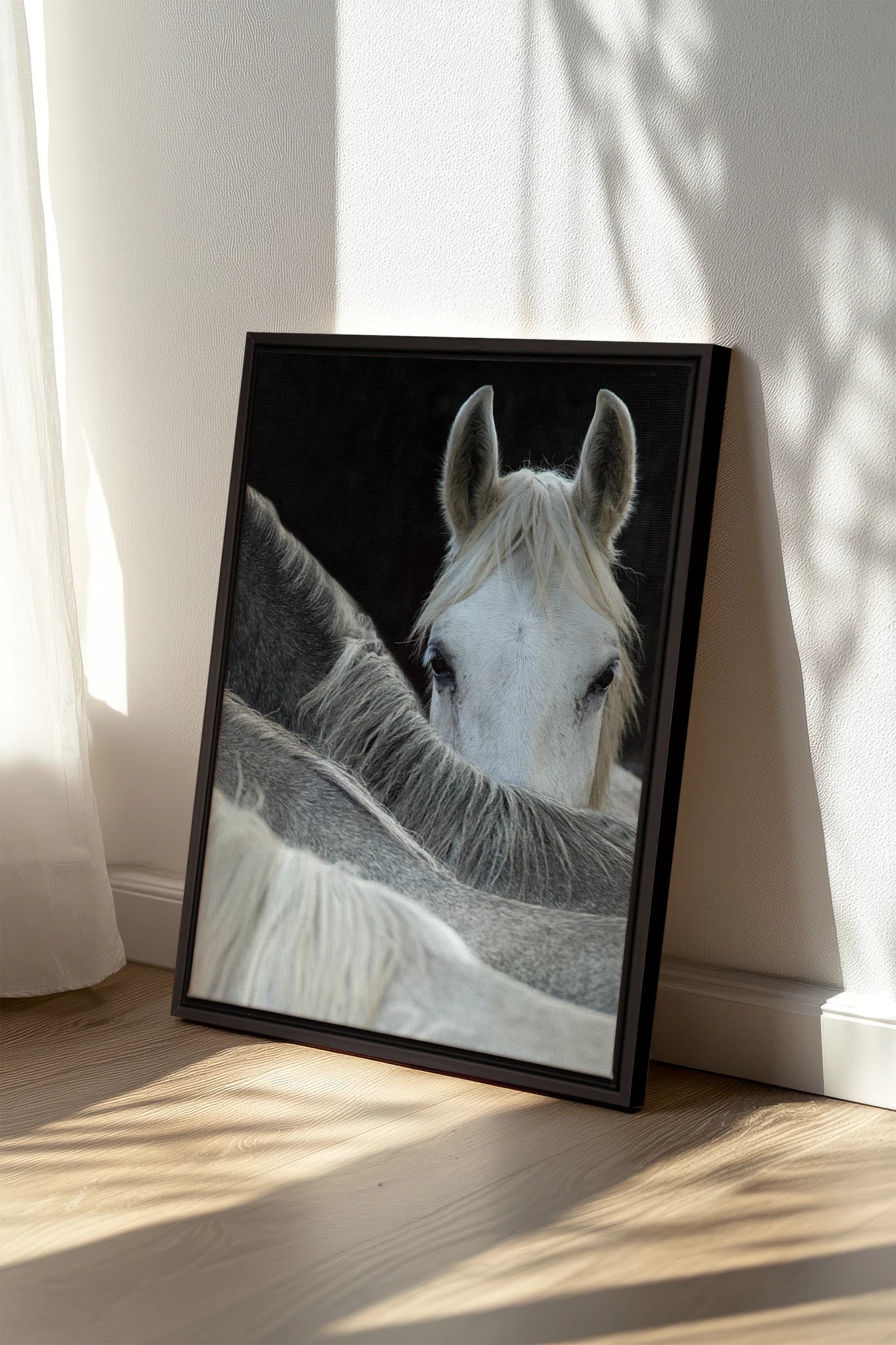 Regard Sauvage, Oeuvre sur toile étirée