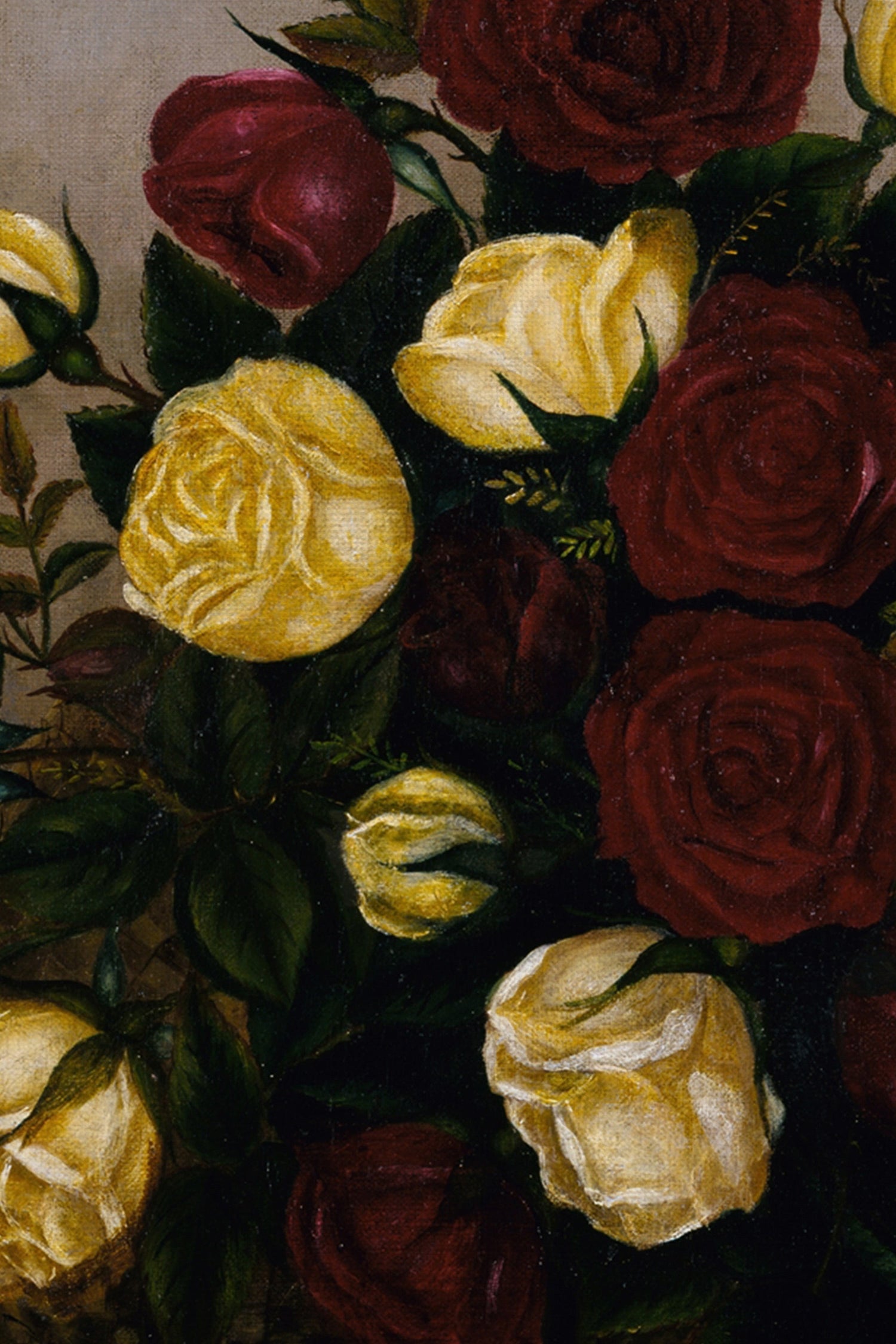 ROSES D&