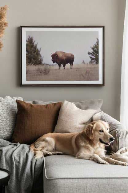 POUSSIÈRE D'OUEST, Oeuvre sur toile étirée