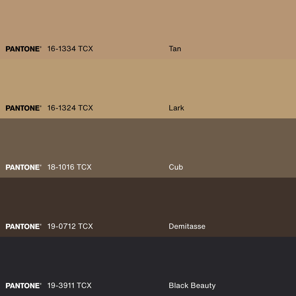 POUSSIÈRE D'OMBRES, Oeuvre sur toile étirée, encadré Noir