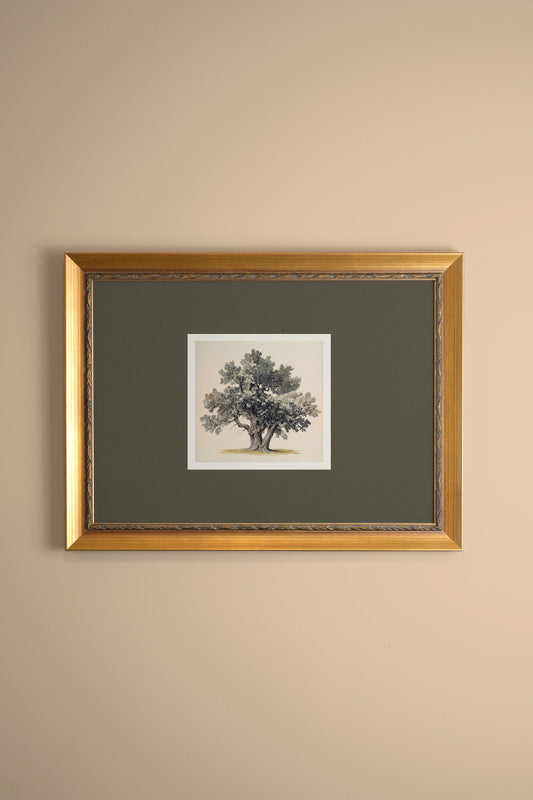 SILENT WISDOM, CADRE VINTAGE OR