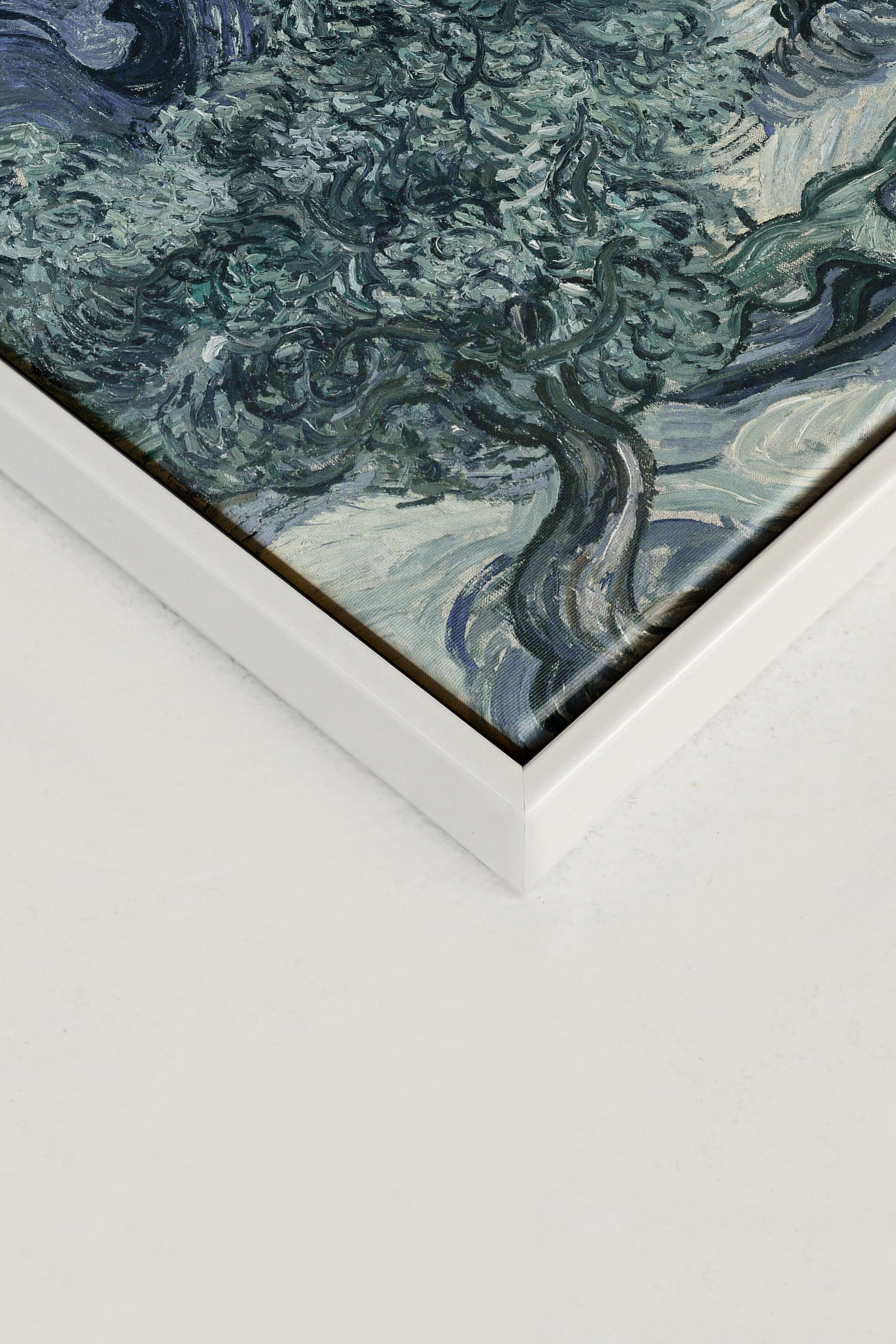 Olive tree II, Oeuvre sur toile étirée
