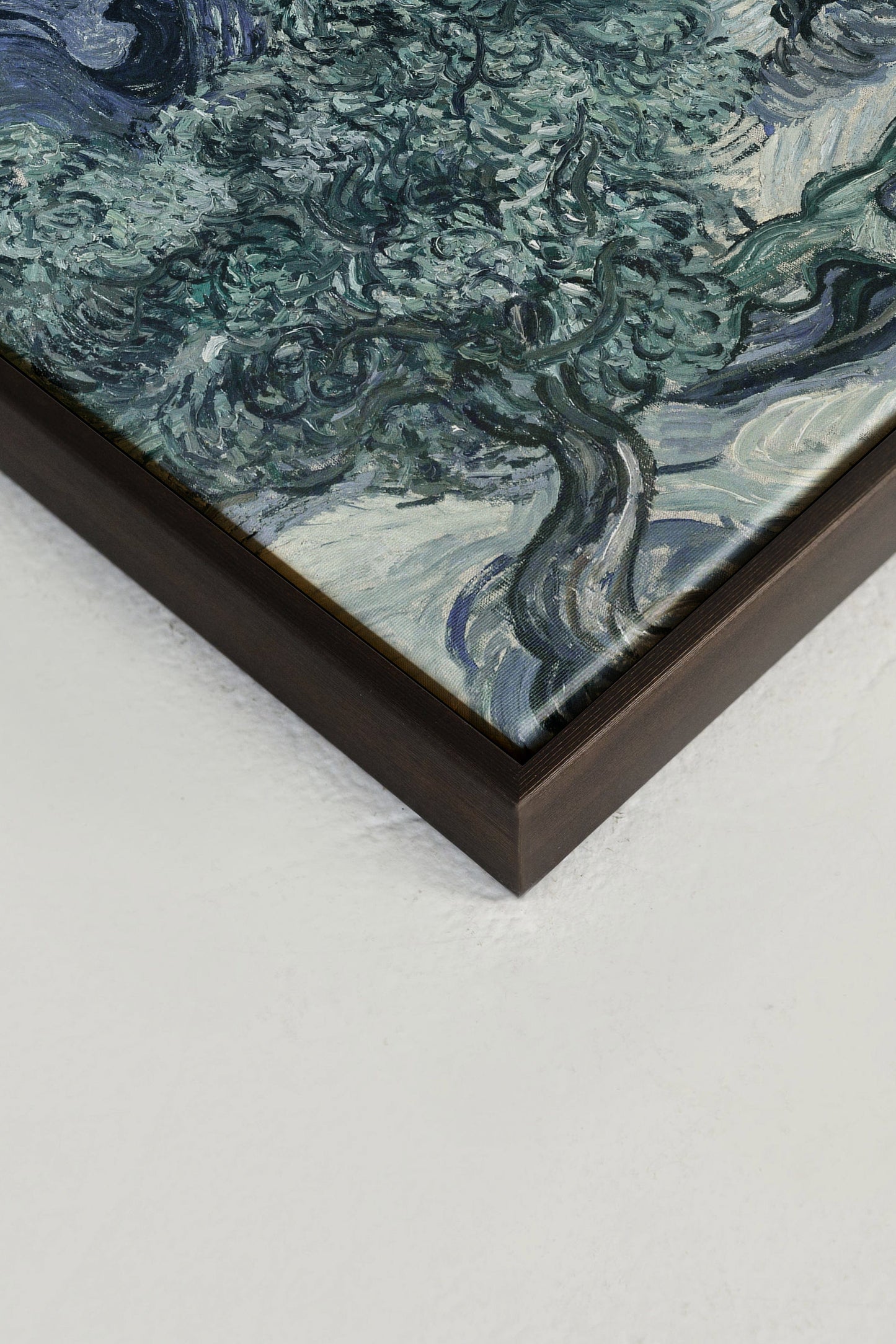 Olive tree II, printed canvas