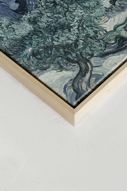 Olive tree II, printed canvas