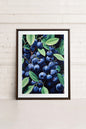 BLUEBERRY BLISS, Work on stretched canvas