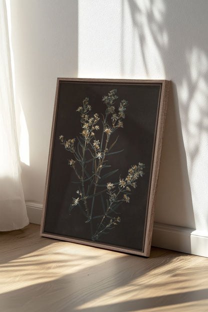 OLEKA CANVAS - FLEUR D&