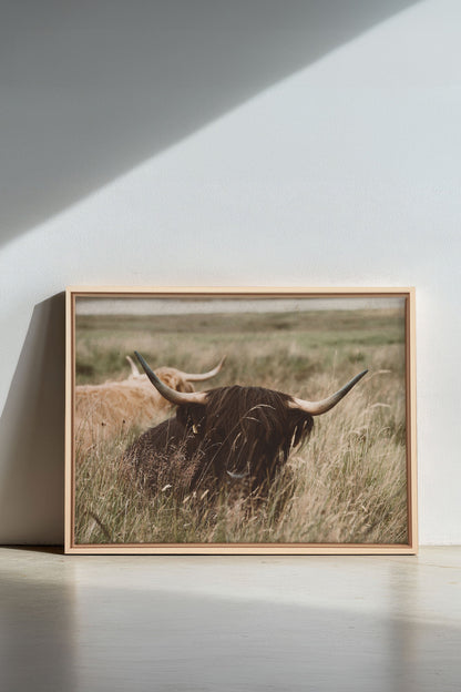 HIGHLAND SPIRIT, Oeuvre sur toile étirée, encadré Naturel Clair