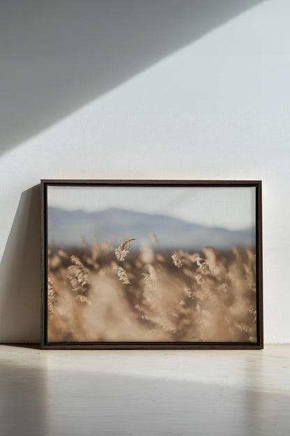 Murmure des Champs, Oeuvre sur toile étirée