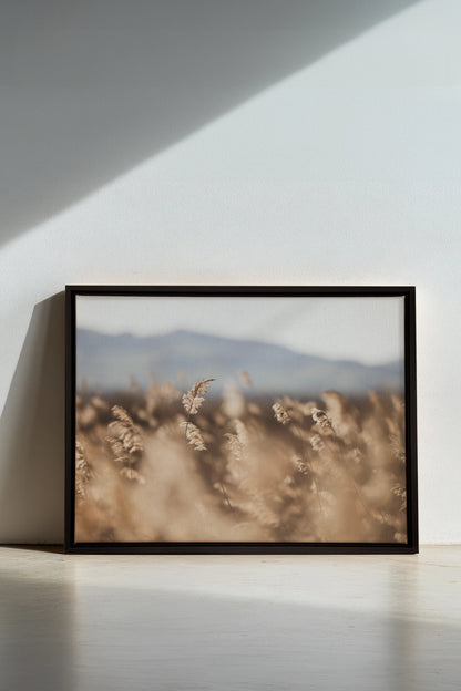 Murmure des Champs, Oeuvre sur toile étirée