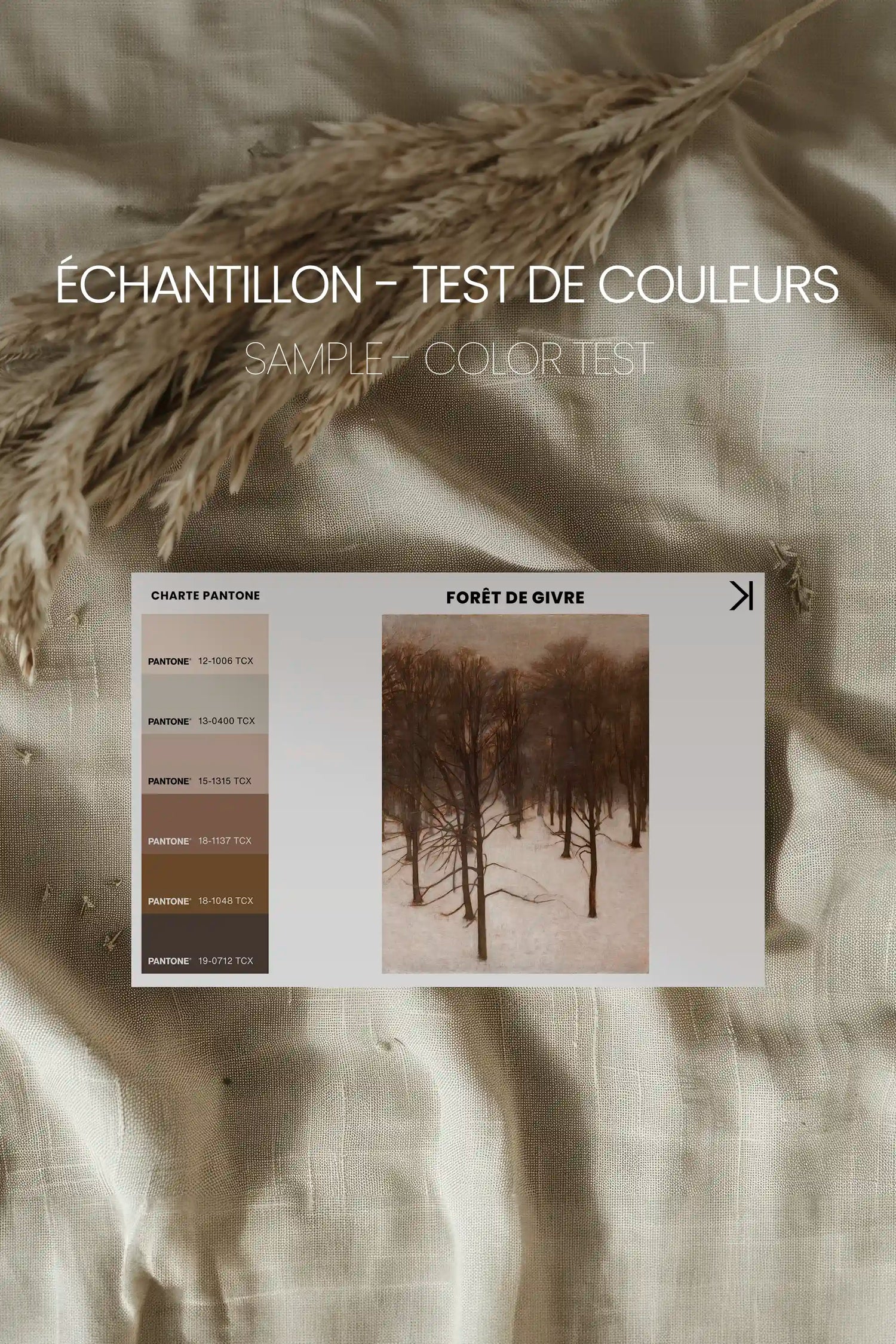 FORÊT DE GIVRE, Oeuvre sur toile étirée, encadré Blanc