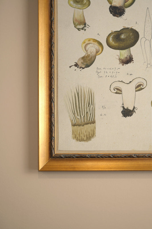 FOREST TREASURE, VINTAGE GOLD FRAME