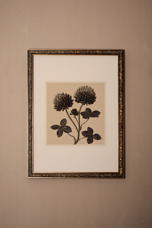 Field Relic, CADRE VINTAGE BRONZE