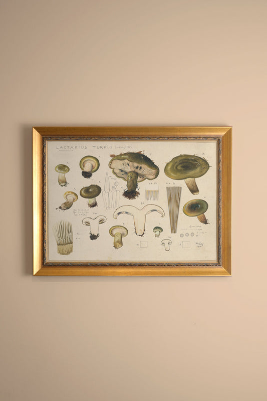 FOREST TREASURE, VINTAGE GOLD FRAME