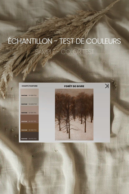 FORÊT DE GIVRE, Oeuvre sur toile étirée, encadré Brun Chêne